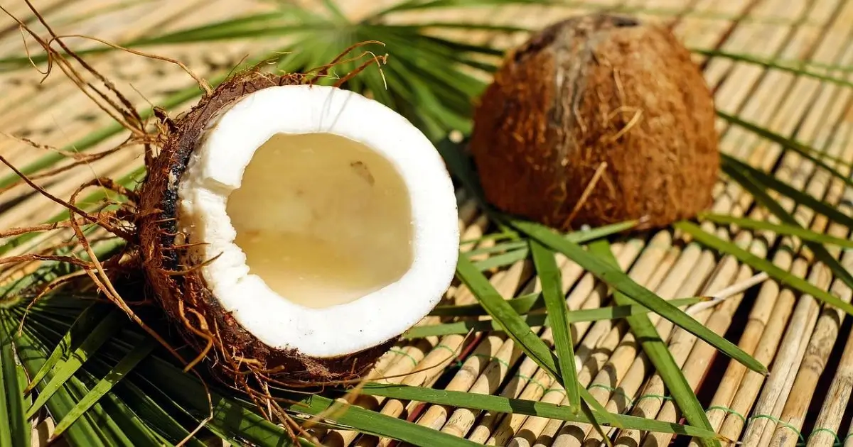 noix de coco