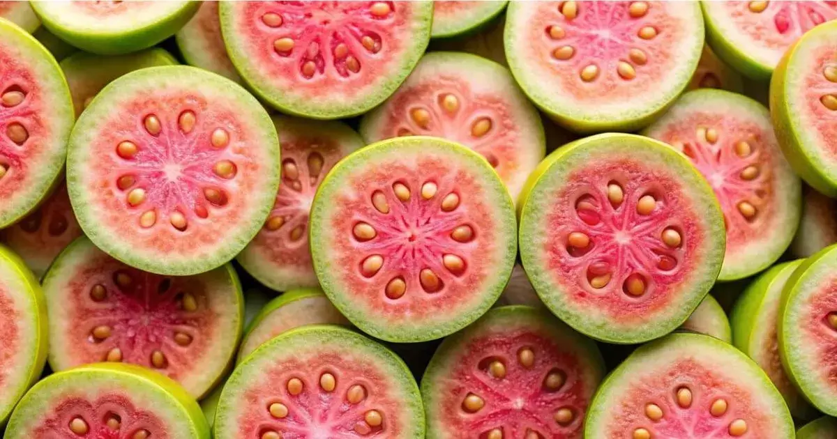 goyave fruit